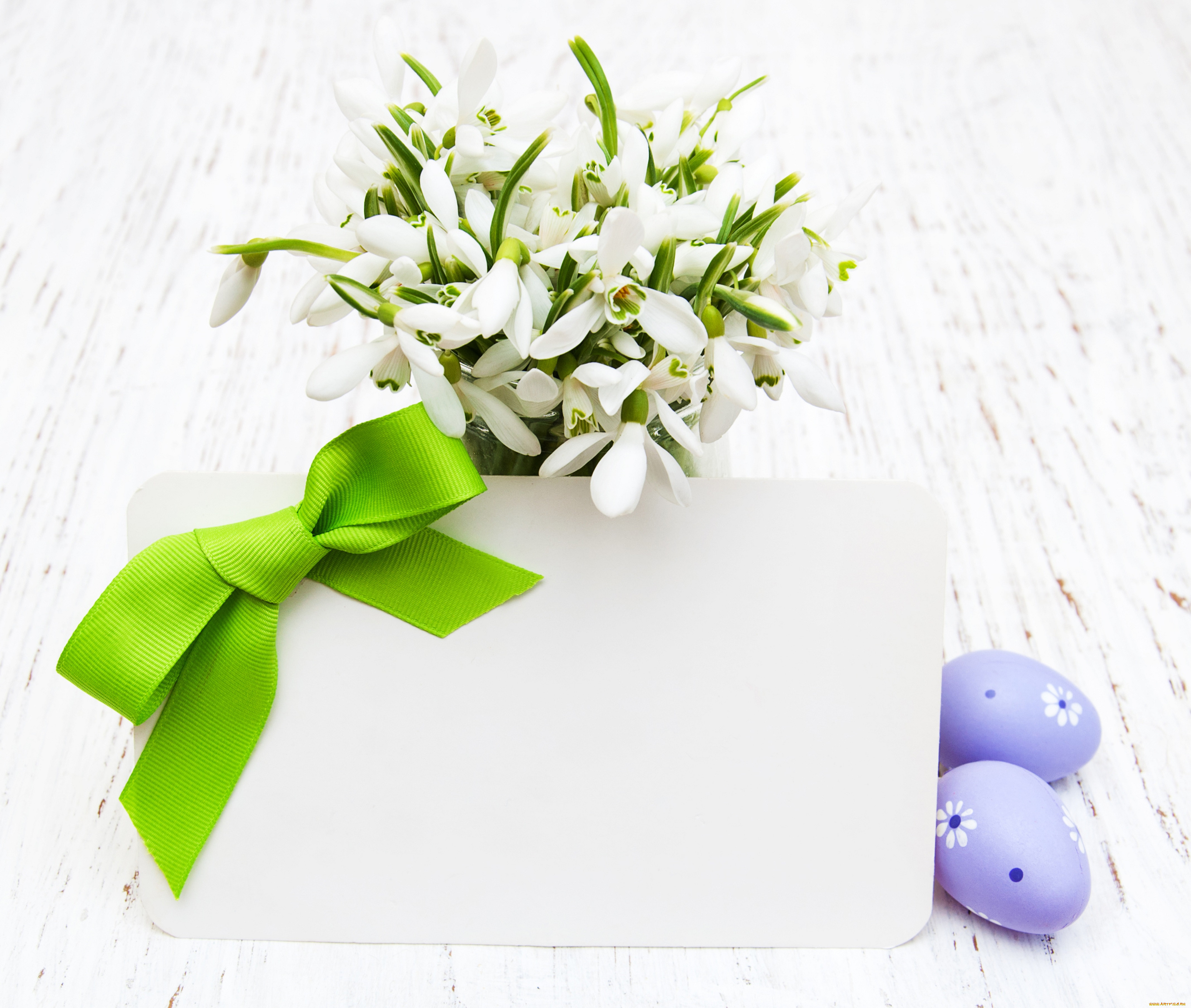 , , easter, eggs, card, flowers, spring, , 